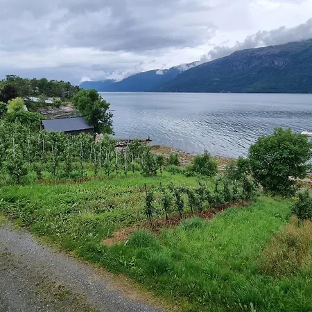 V Hardangerfjorden *